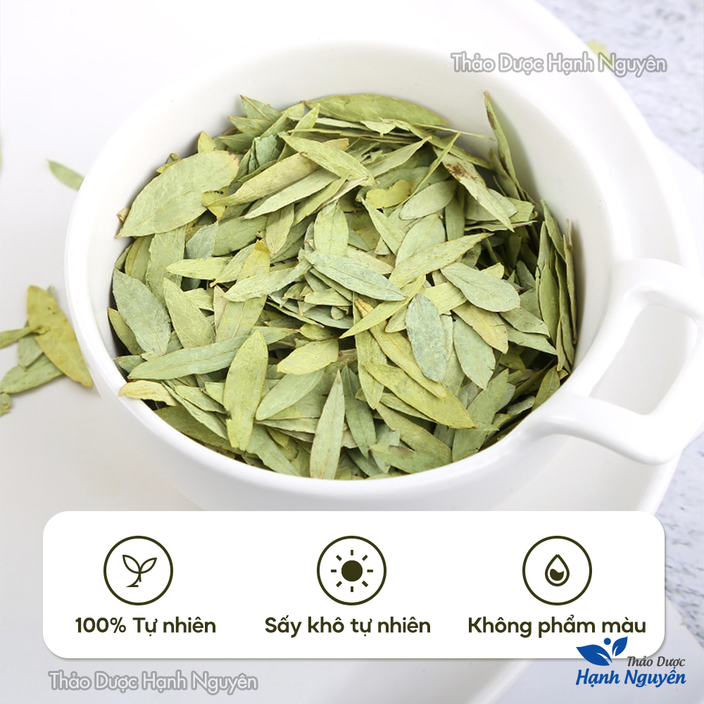 Trà Phan Tả Diệp Giảm Cân 100g Hàng Khô Chất Lượng - Thảo Dược Hạnh Nguyên