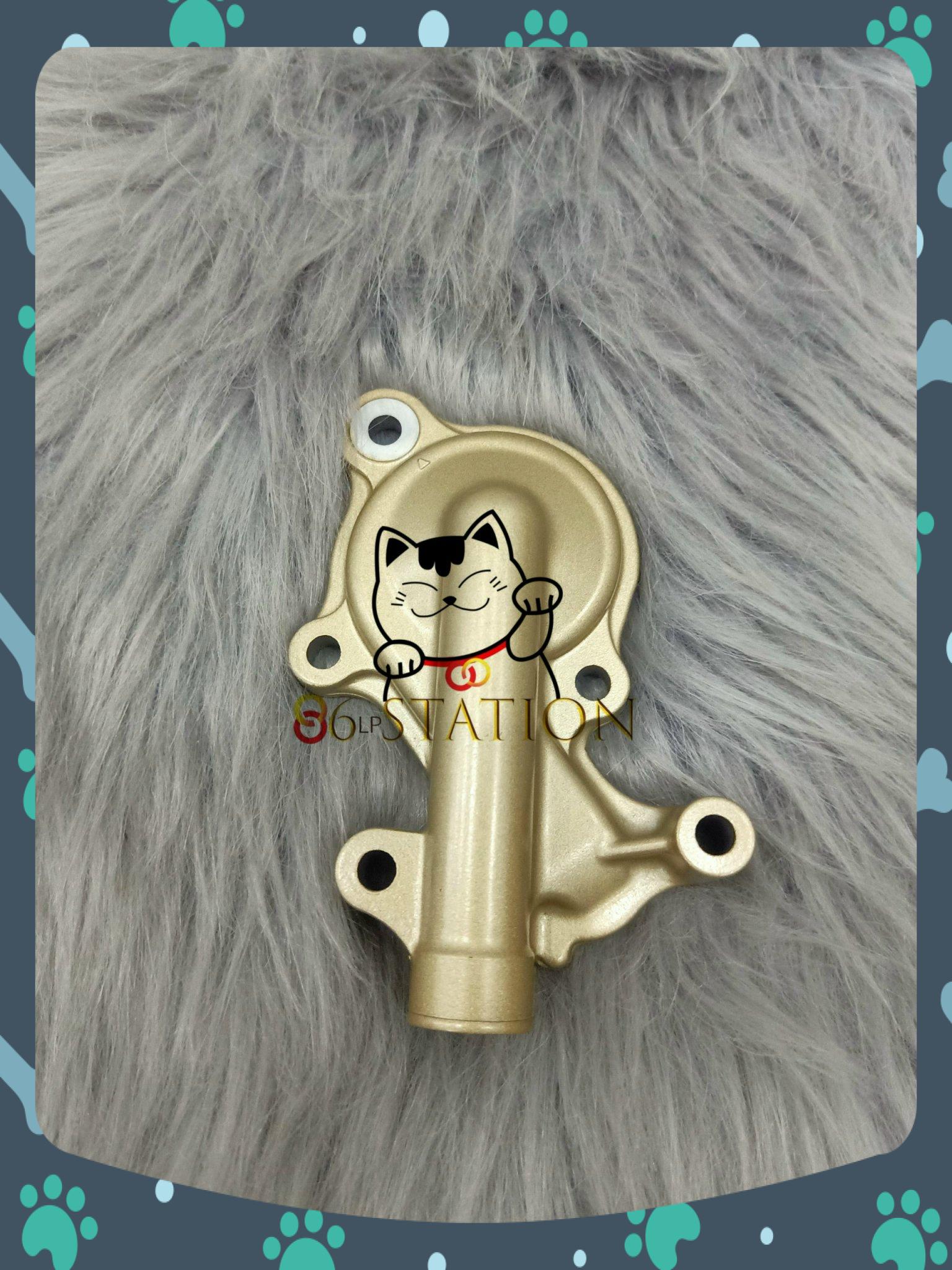 Nắp Bơm Nước Satria Fi , Raider Fi , GSX , BANDIT