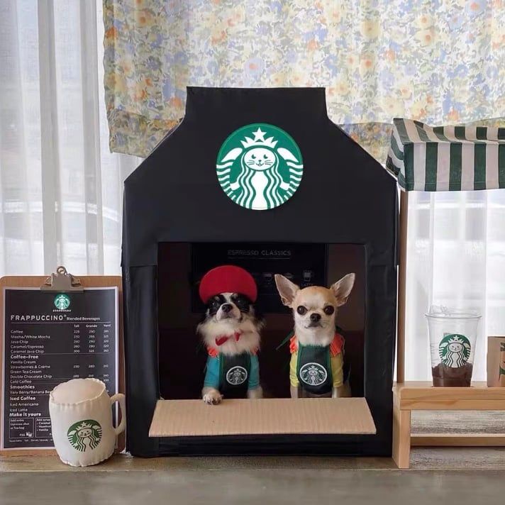 Yếm Starbucks Hàn Quốc cho chó mèo