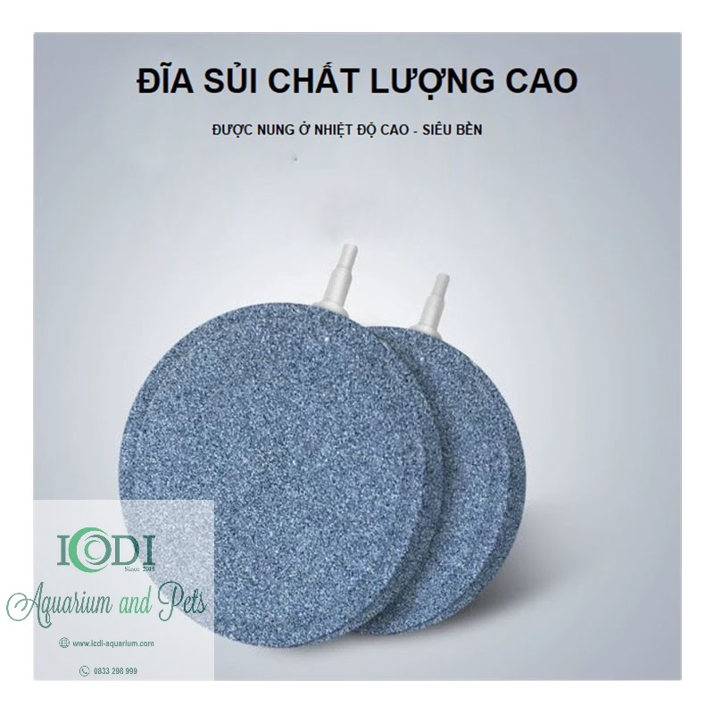 Đĩa sủi oxy cho bể cá cảnh bể thủy sinh
