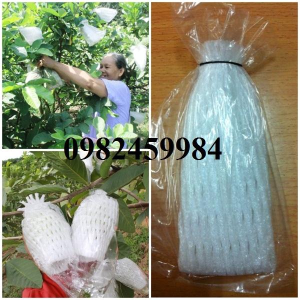 Túi mút xốp bao trái cây Ổi ( 1KG~320-350 túi)
