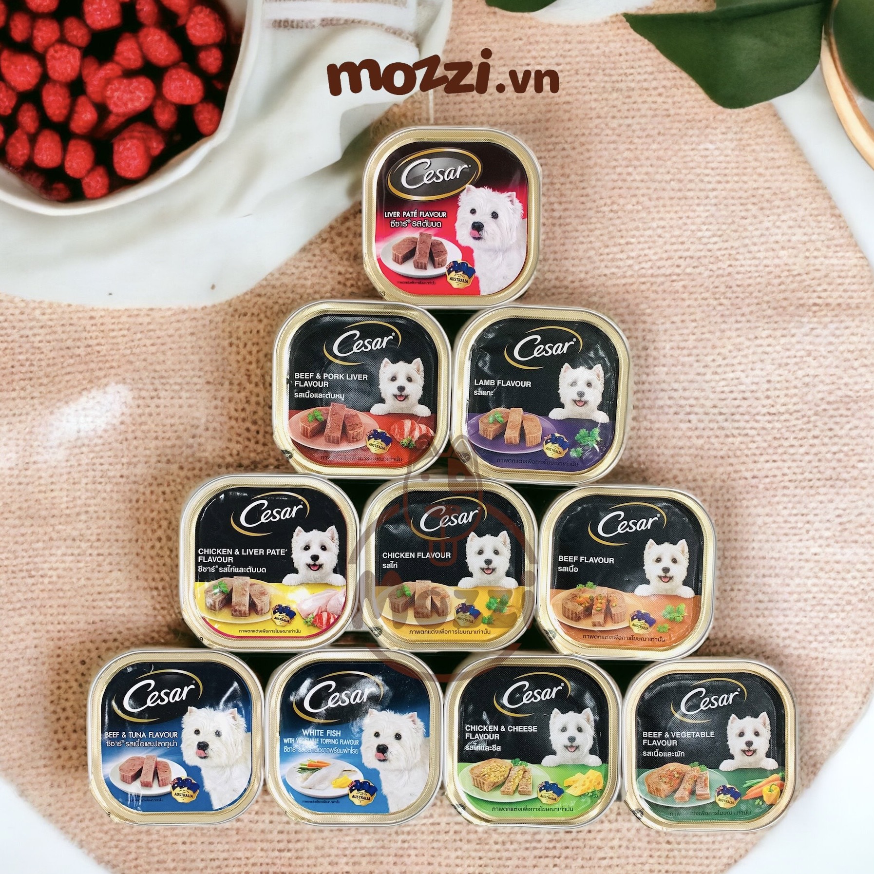 Pate cho chó Cesar Hộp 100gr