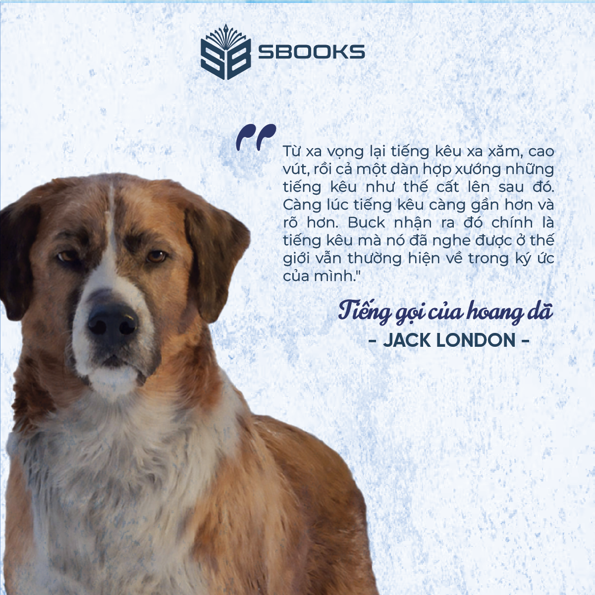 Tiếng Gọi Của Hoang Dã - Cuốn Sách Kinh Điển Văn Học Của Jack London - SBOOKS