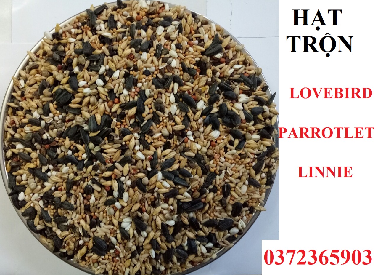 1kg hạt trộn gồm 9 loại hạt dành cho love bird linnie parrotlet