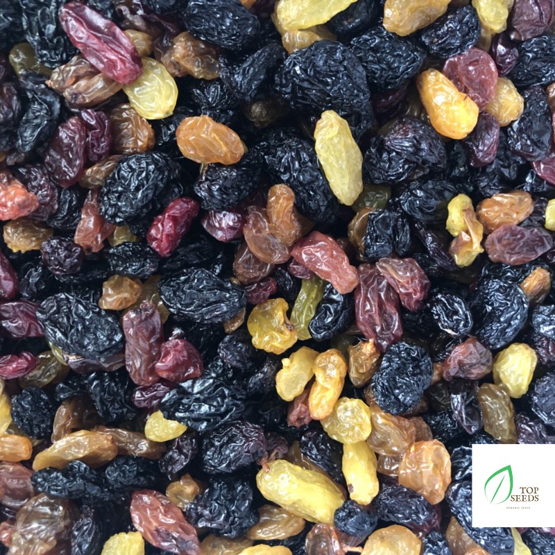 1kg Nho Sấy Chile Mix 3 Màu