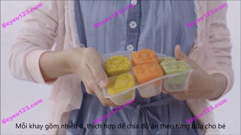 (Cam kết chính hãng) Hộp 02 khay trữ đông Richell RC49090 (50ml / khay) (Công nghệ Nhật)