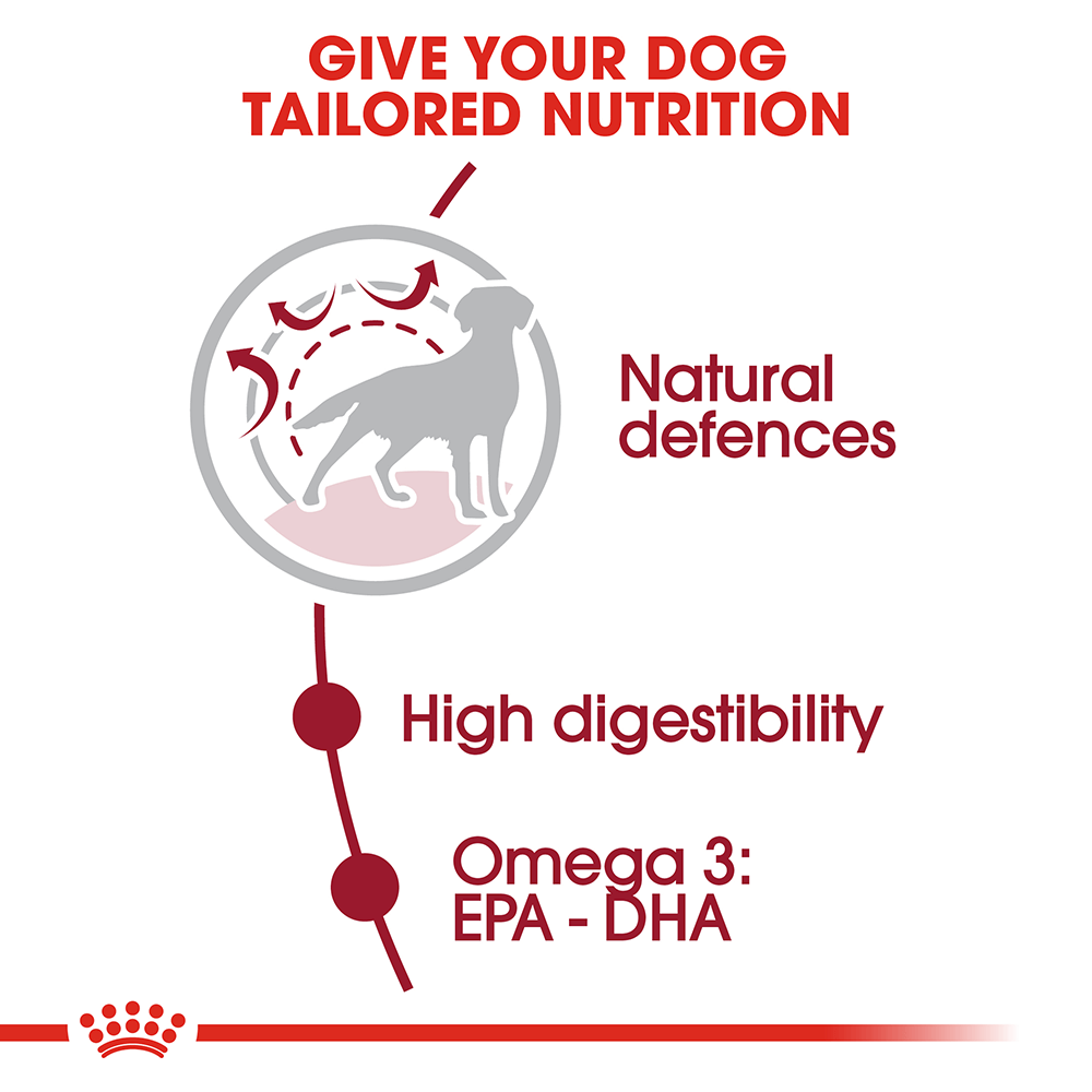 Pate Cho Chó Con Size Vừa Royal Canin Medium Puppy