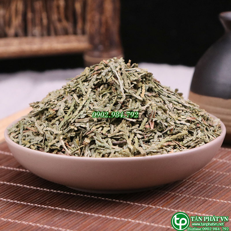 Trắc bá diệp sấy khô 100g - tấn phát