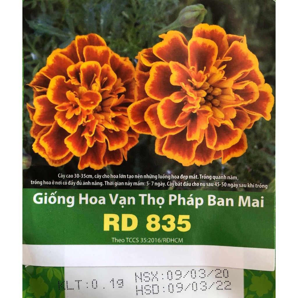 Hạt Giống Hoa Vạn Thọ Pháp Ban Mai