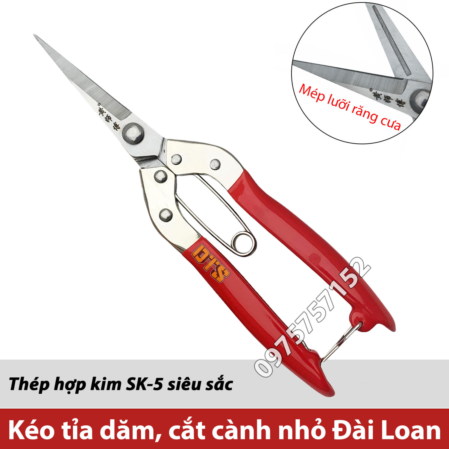 Kéo cắt cành nhỏ, kéo tỉa cành răm mũi dài, tỉa lá, chi dăm Đài Loan 210mm thép trắng SK5 siêu sắc bén, siêu bền, kéo tỉa dăm, kéo cắt chi dăm, dụng cụ làm vườn chuyên nghiệp, kéo làm vườn, kéo cắt bonsai, kéo tỉa cây