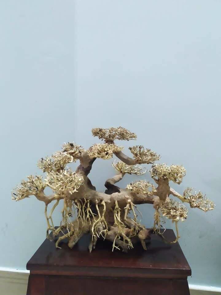 Lũa Bonsai Mini kiểu dáng xoè Trang Trí Bể Cá - Bể Thủy Sinh (C:30cm D: 40cm)