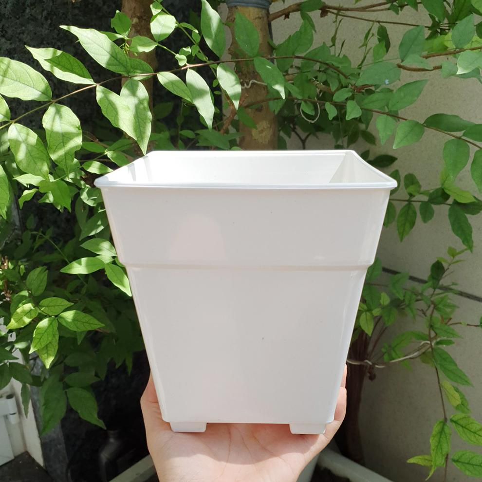 [HCM]Combo 5 chậu vuông trồng hoa nhựa trắng 17x18cm