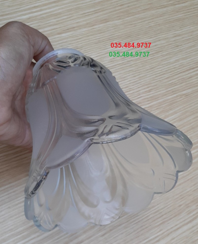 F99 - Chao đèn quạt trần