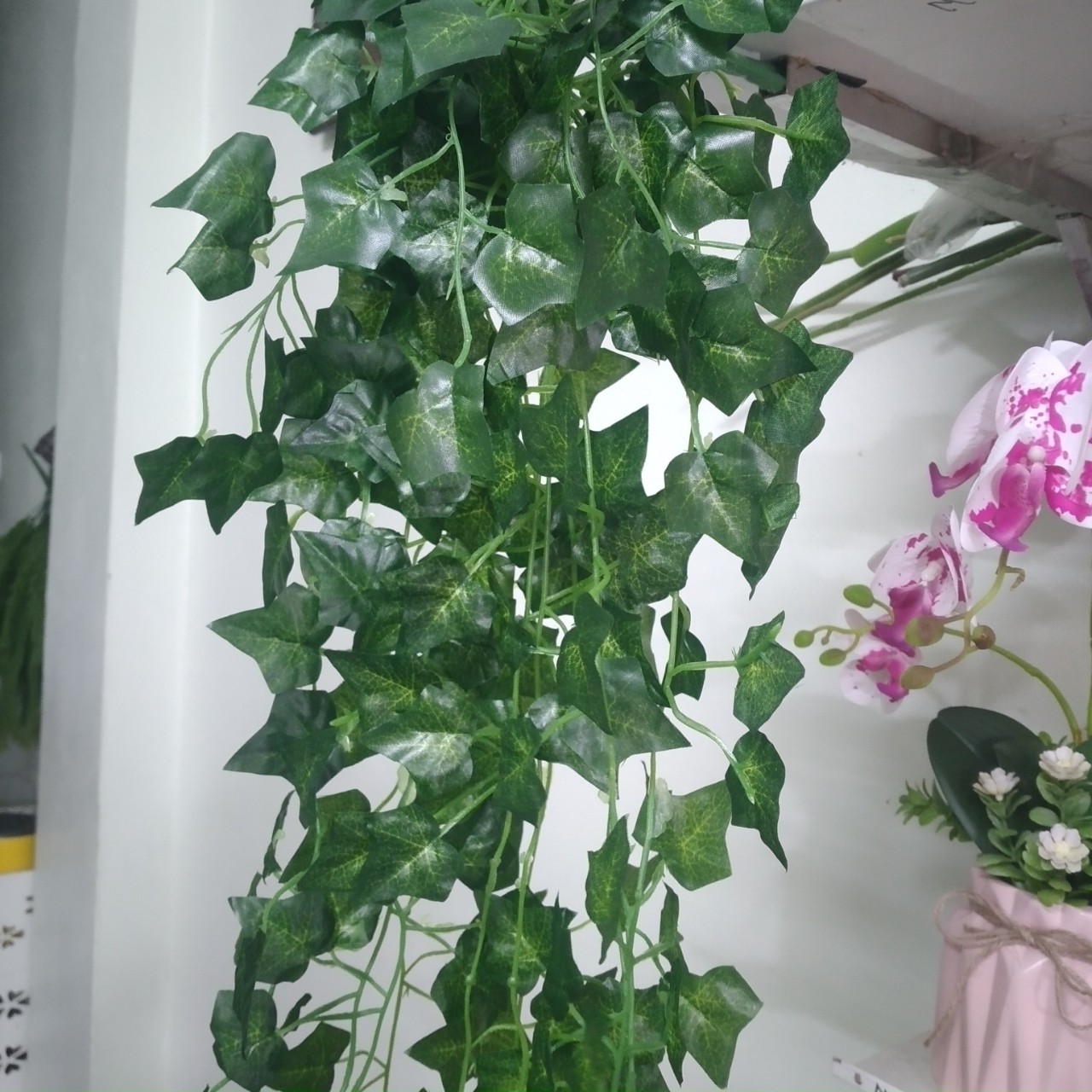 Rủ lá thường xuân treo tường dài 1m
