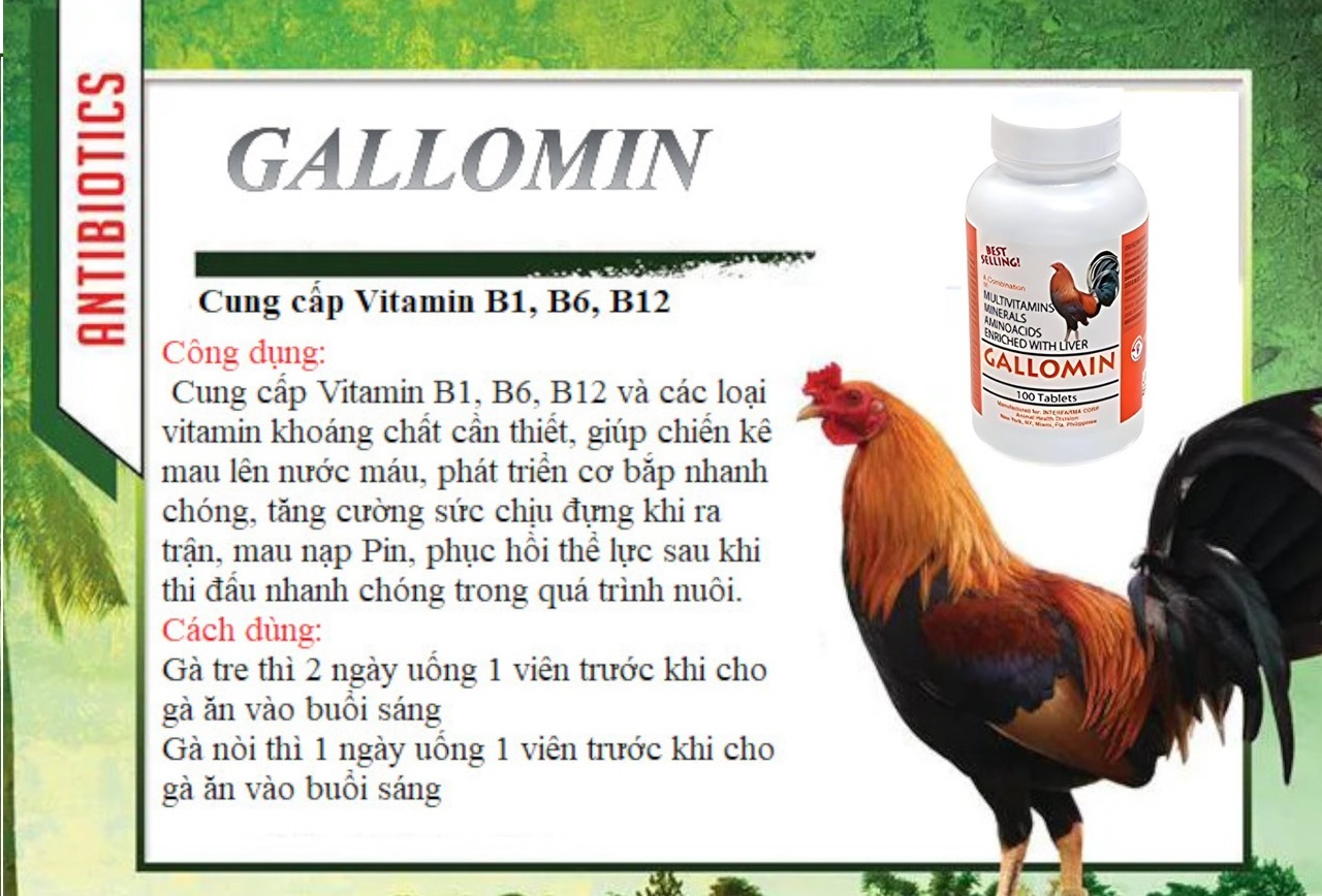 GALLOMIN dinh dưỡng cho gà đá CHIẾC LẼ 20 VIÊN