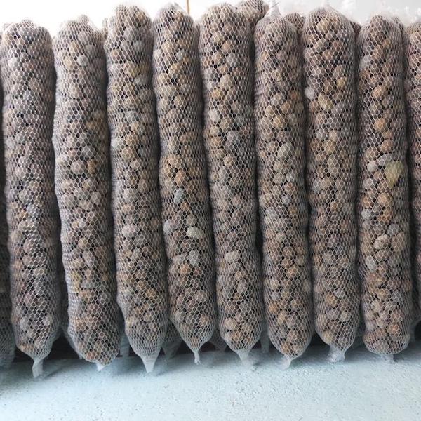 1kg phân dê BÓN LAN ĐÃ QUA XỬ LÝ