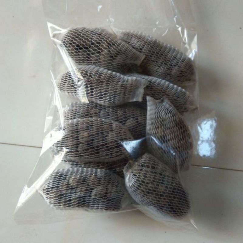 Phân dê bón lan túi 5cm-10cm-20cm
