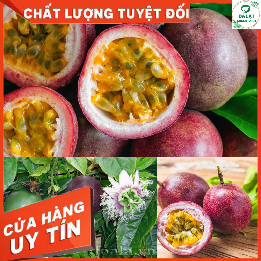 30H_Hạt giống Chanh Dây (sai trái)