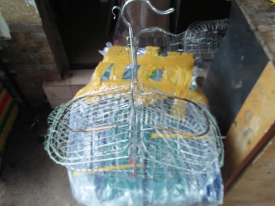 Lồng bẫy chim chích chèo lửa
