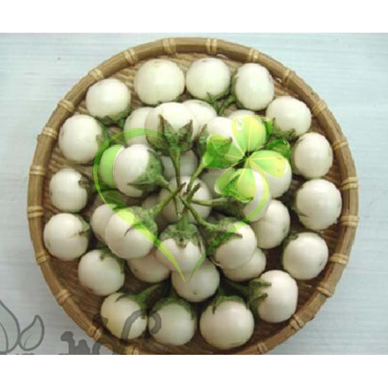 Hạt giống cà pháo trắng - gói 1 gram