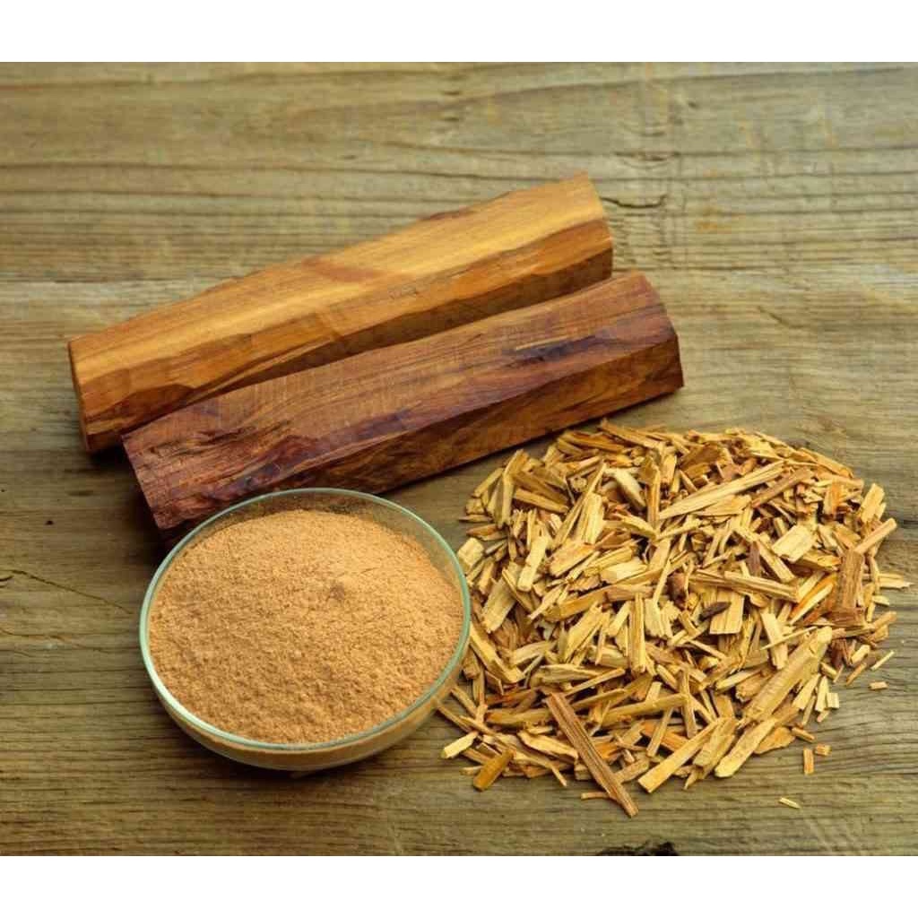 Cây giống gỗ đàn hương trắng Ấn độ (Cây khỏe đẹp, được kiểm tra hàng)