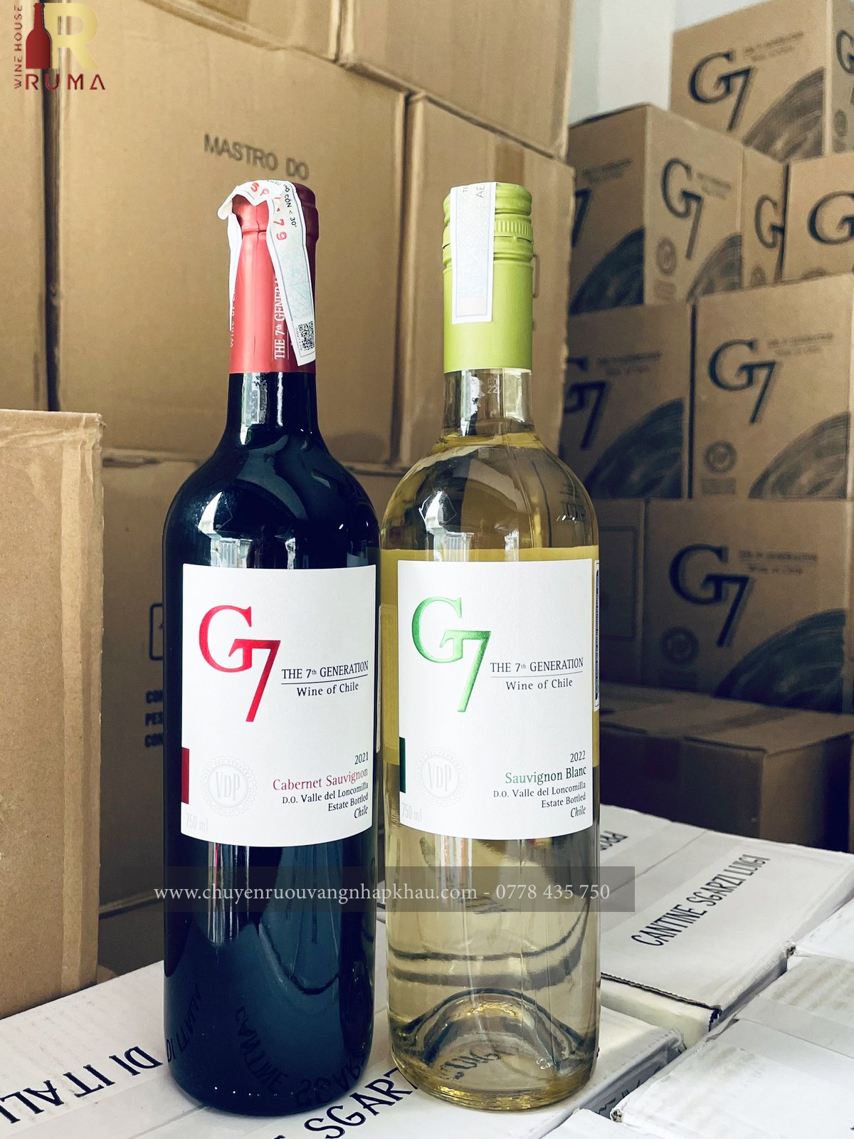 Vang Chile G7 Sauvignon Blanc (vang trắng)