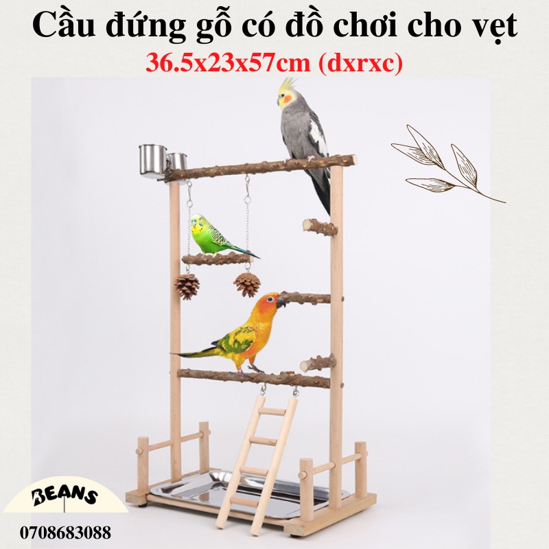 Chim vẹt yến phụng - PetXinh.net Nhím Kiểng Hamster Thỏ Bọ Ú giá rẻ