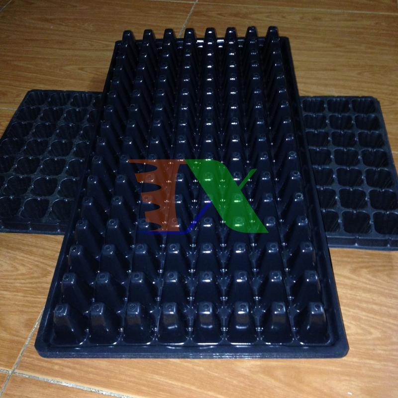 Bộ 5 khay ươm cây, khay ươm hạt, vỉ ươm (128 lỗ)(Đen)