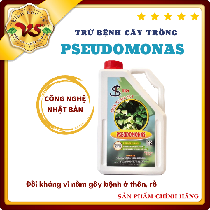Tks pseudomonas: chế phẩm phòng trừ bệnh héo xanh, thối rễ, vàng lá - can 2 lít