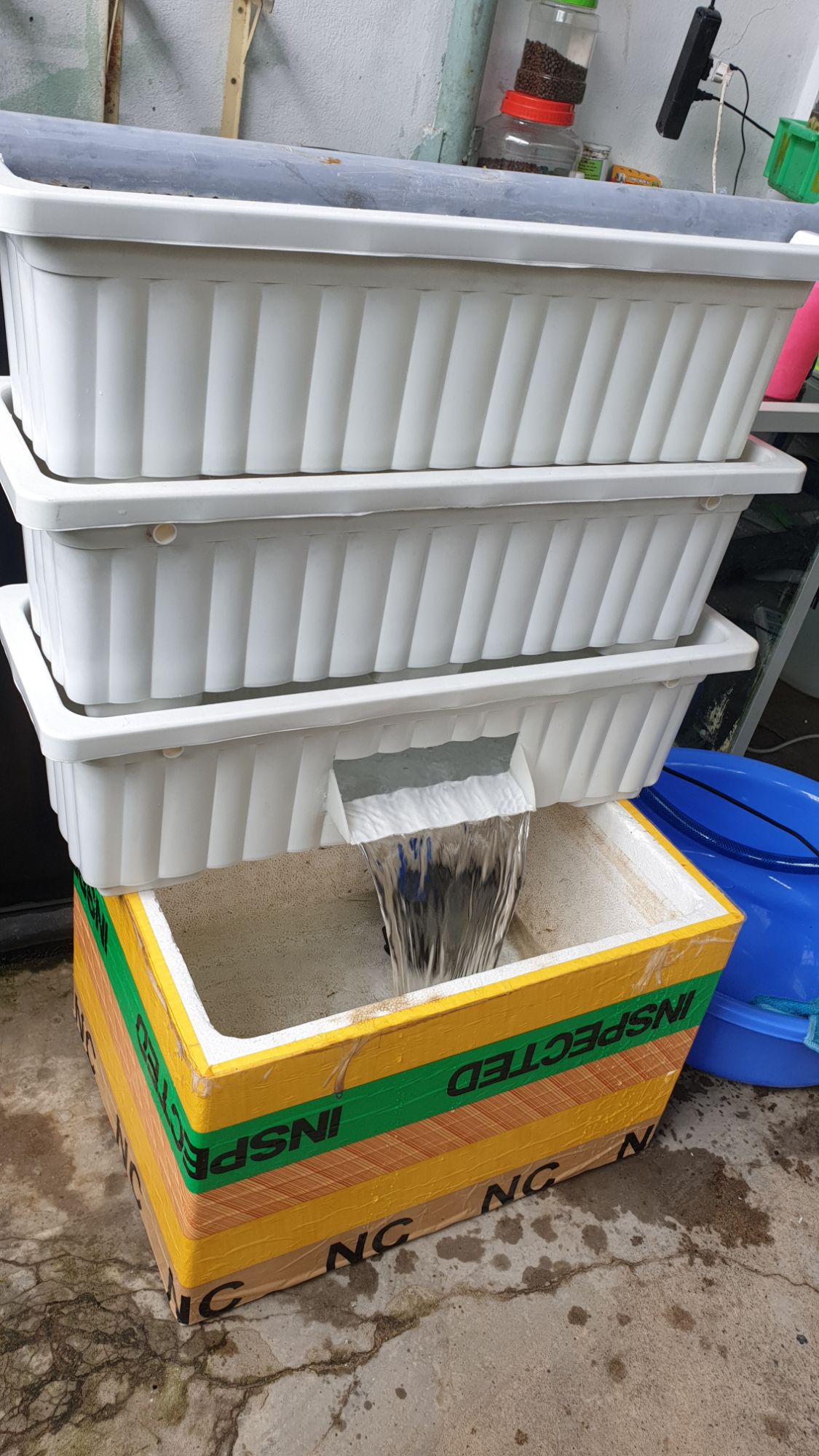 [HCM]dàn 3ky lọc hồ cá