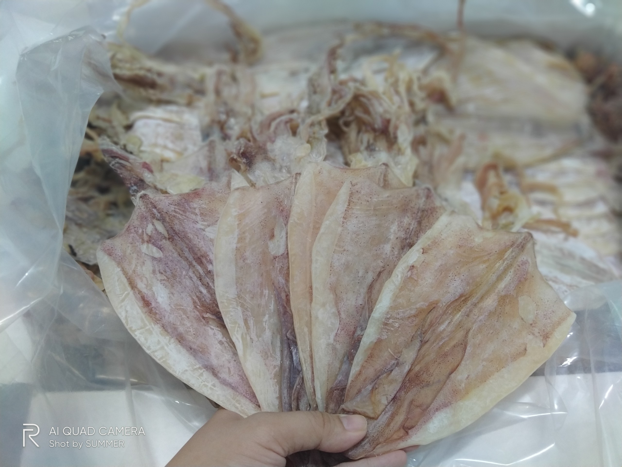 [HCM]3 CON KHÔ MỰC VŨNG TÀU LOẠI 1[ GIAO HÀNG NHANH 4h HCM]