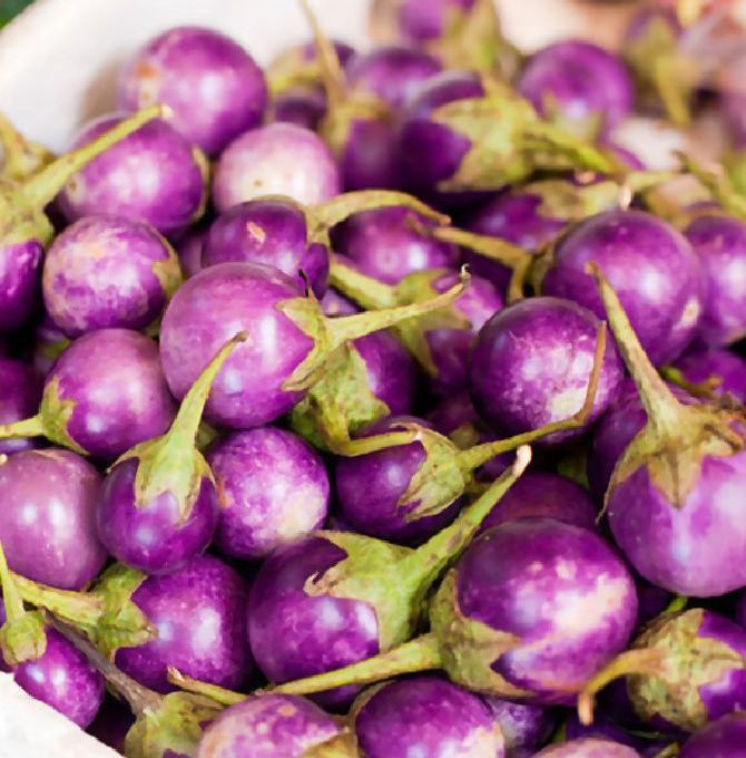 Hạt giống cà pháo tím siêu trái -gói 0,2 gram