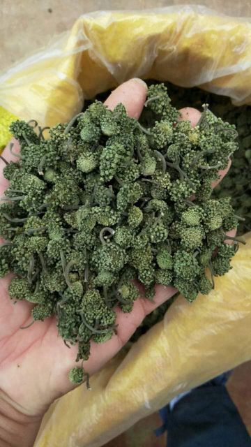 Nụ Hoa Tam Thất 500gr (Nụ Bao Tử)