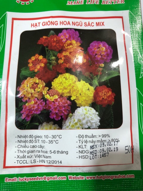 HẠT GIỐNG HOA NGŨ SẮC MIX