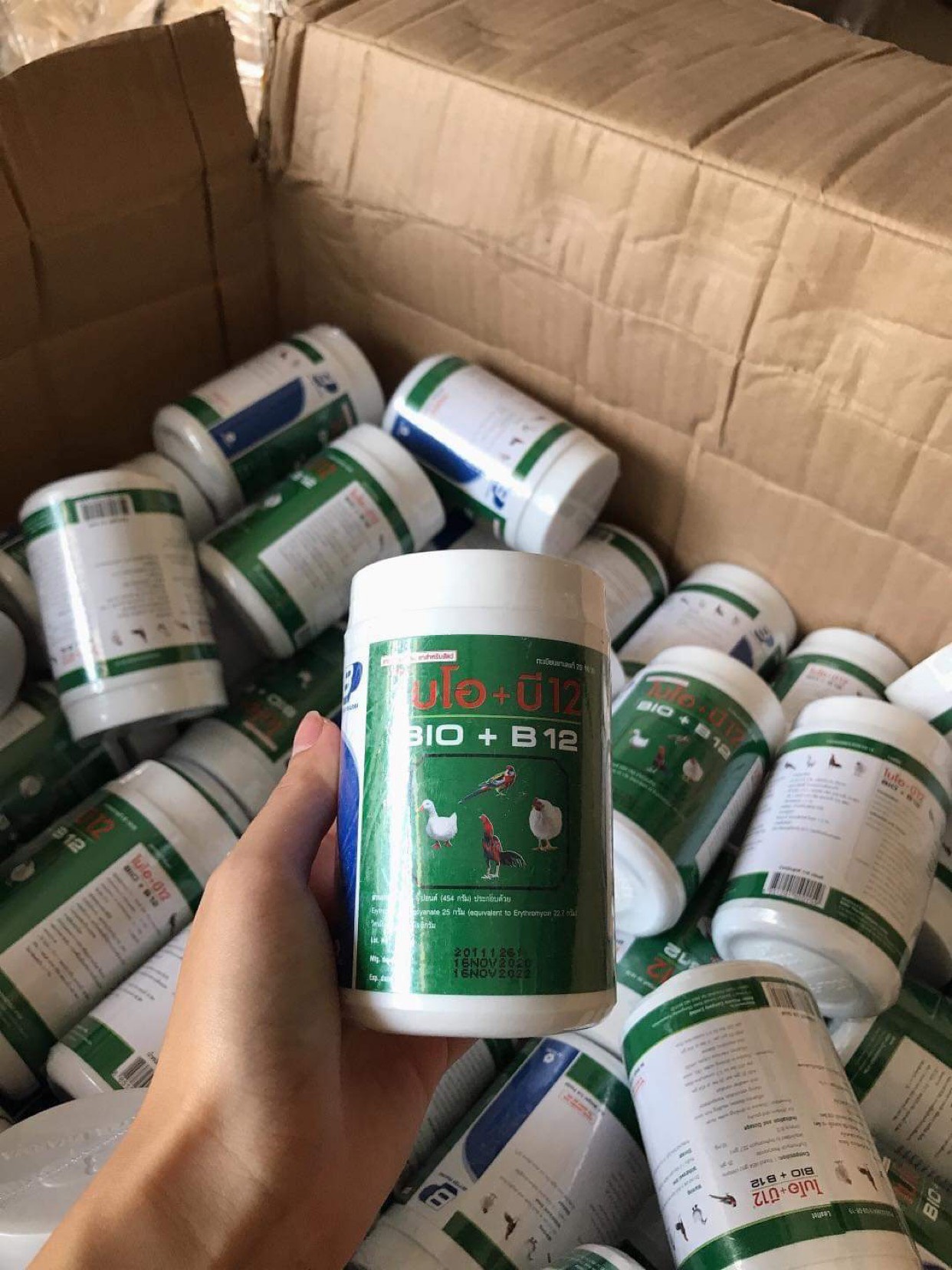 BIO B12 - Úm gà con