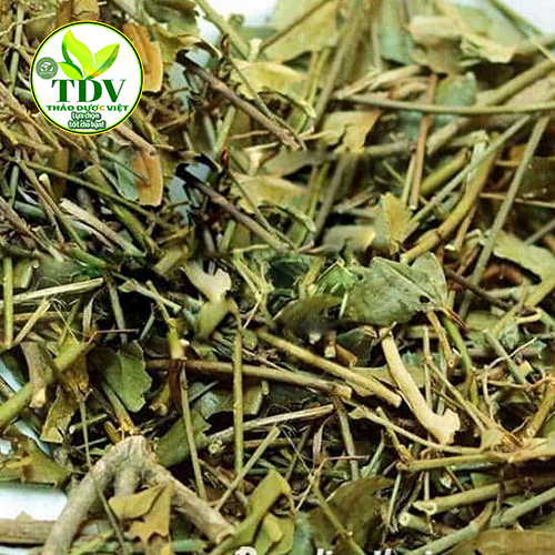 1kg Chè vằng Nghệ An giúp lợi sửa