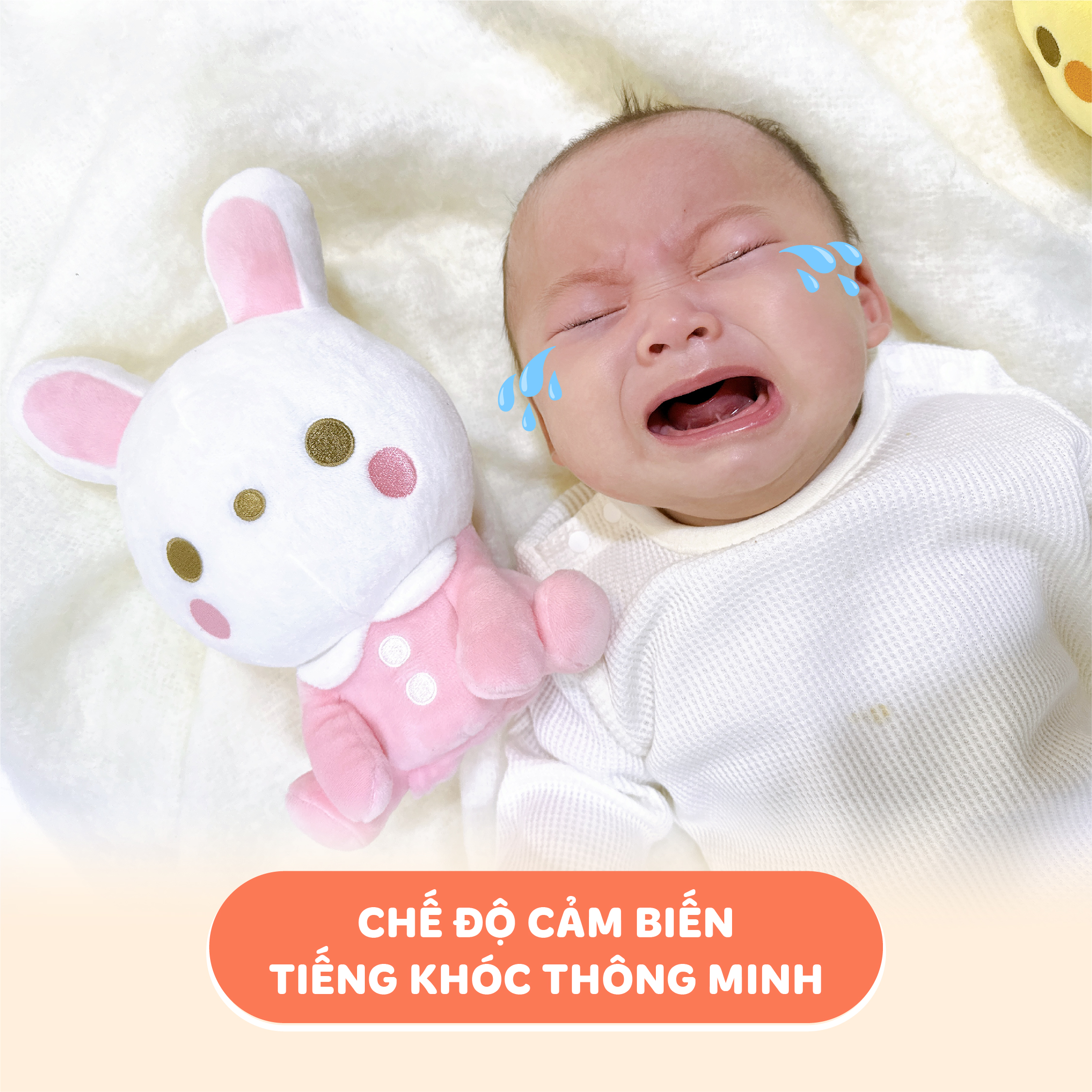 Gấu Malo cảm biến tiếng khóc và dỗ bé Combi