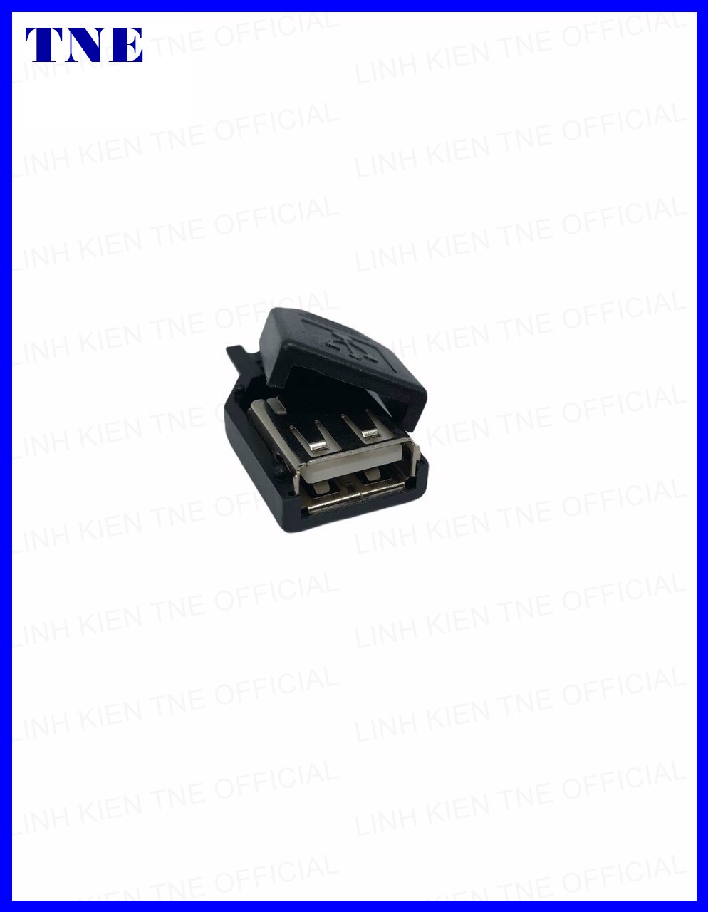 [HCM]Đầu jack USB cái