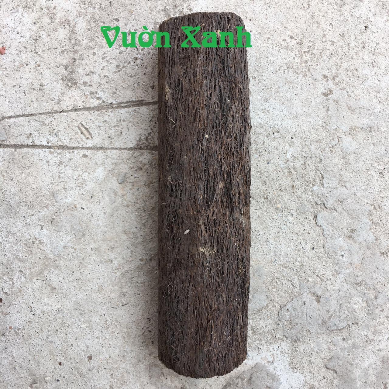 Dớn trụ ghép lan KT 38x10 cm