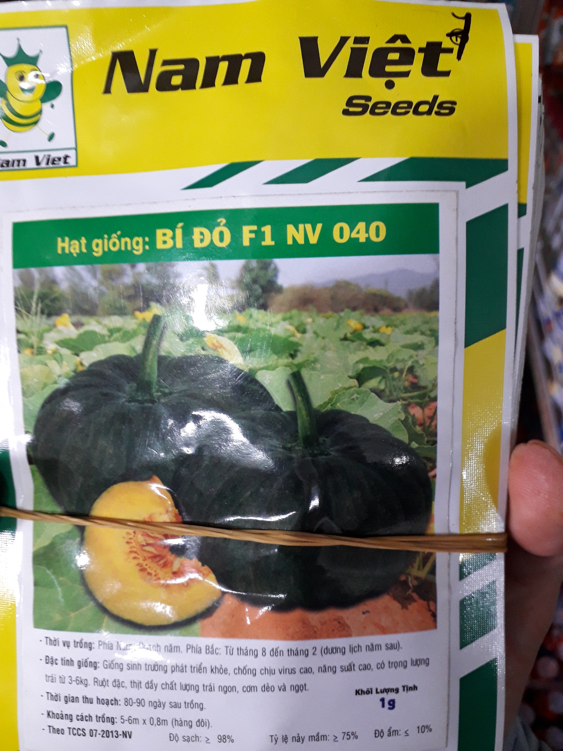 Hạt giống bí đỏ cao sản.