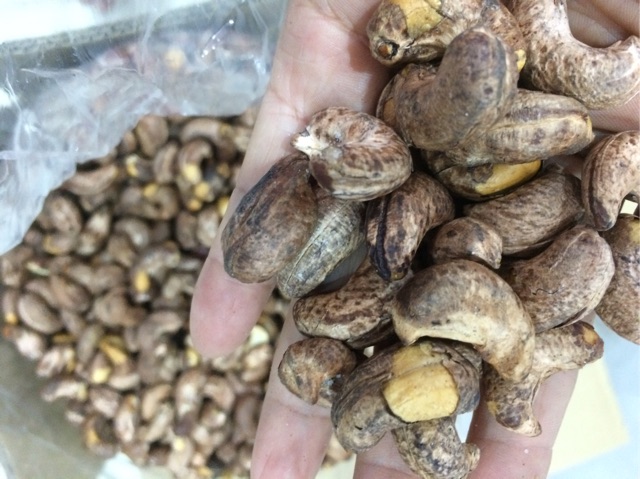 [Large Size] Roasted Salted Cashew Nuts with Whole Shell 500g