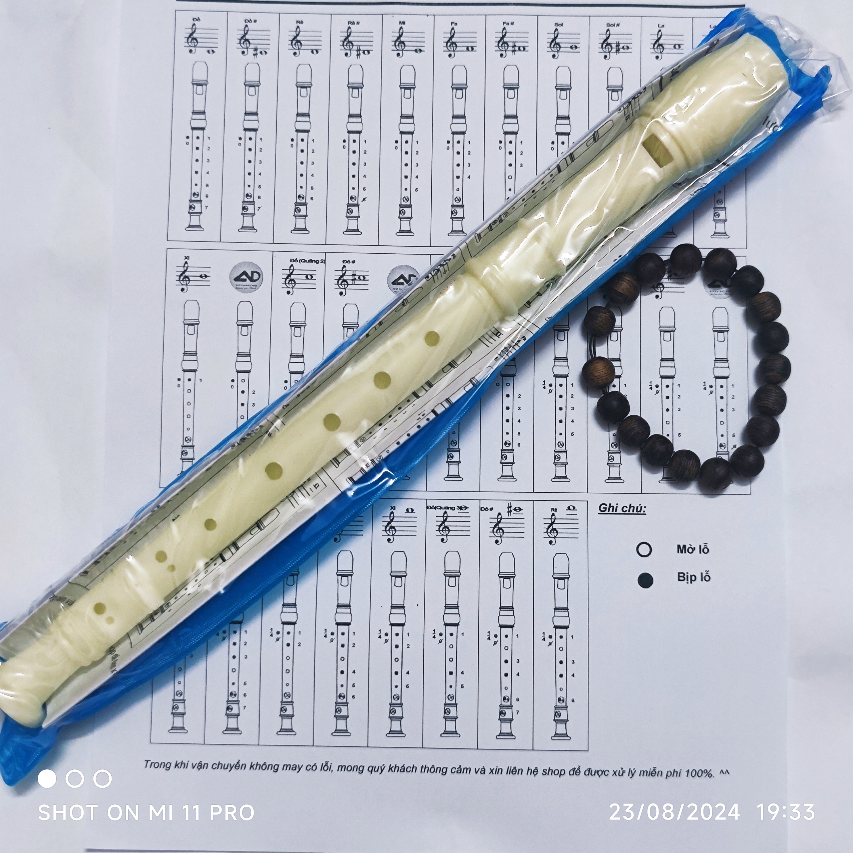 sáo recoder 8 lỗ học sinh - hay dùng. german