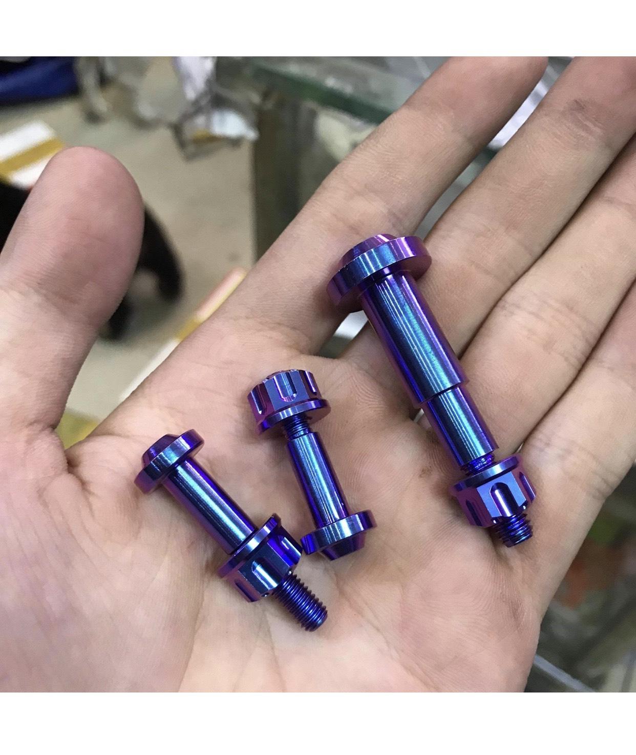(3 Con Ốc + 3 Tán) Ốc Titan Gr5 Cho Tay Thắng Xe Vario