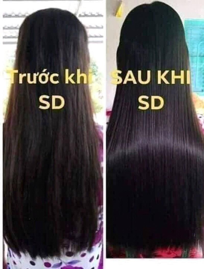 DẦU GỘI THẢO DƯỢC THANH MỘC HƯƠNG Mẫu Mới