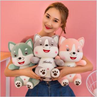 [HCM]Thú Bông Chó Con Huskies Mặt Mụn Size 25cm (3 Màu) thumbnail