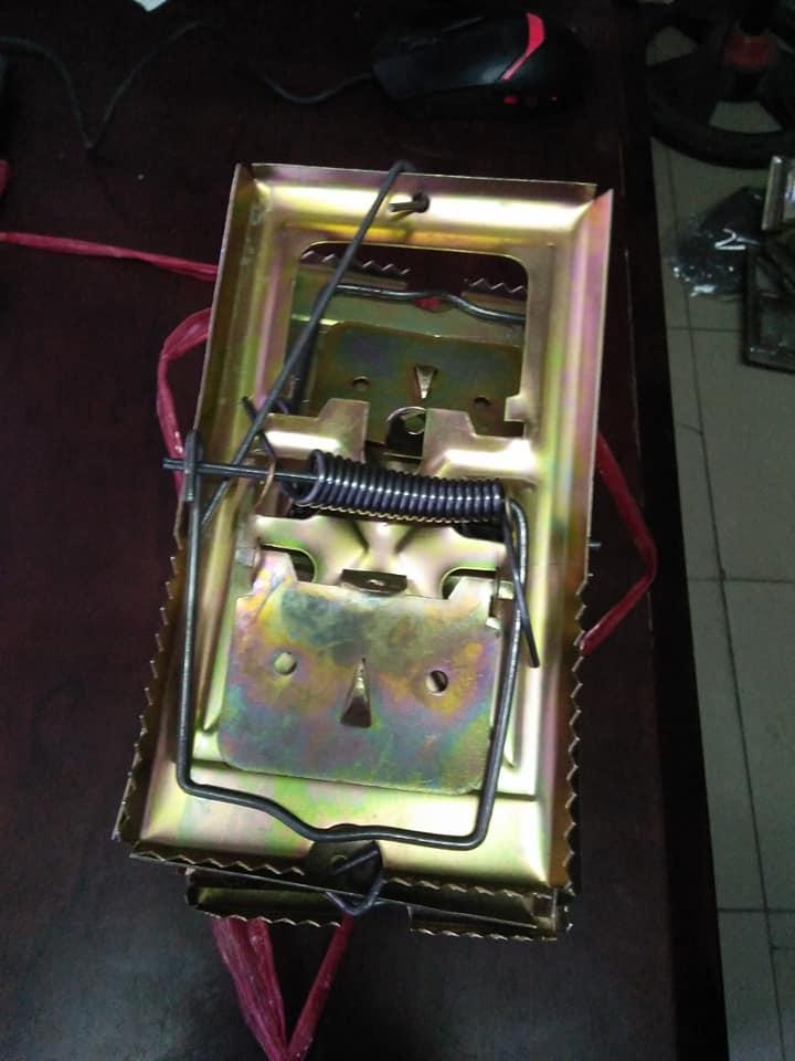 2 Cái Bẫy chuột, bẫy chim, bẫy thú. bảo vệ môi trường HIỆU QUẢ NGAY LẦN ĐẦU