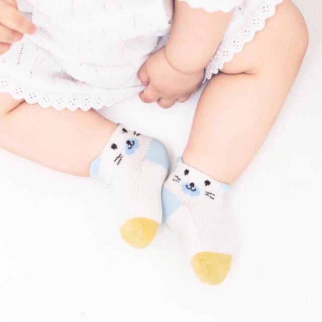 Sét 5 đôi tất lưới cổ thấp kids socks