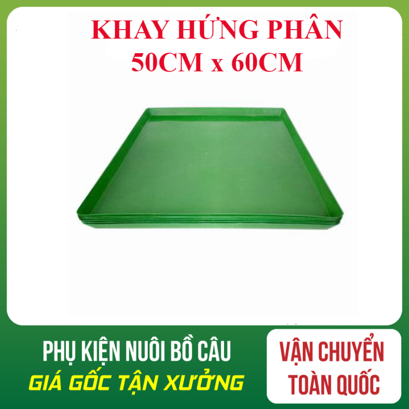 COMBO 20 MÁNG HỨNG PHÂN CHIM, KHAY ĐỰNG PHÂN GÀ, KHAY HỨNG PHÂN CHIM BỒ CÂU, KÍCH THƯỚC 50X60CM