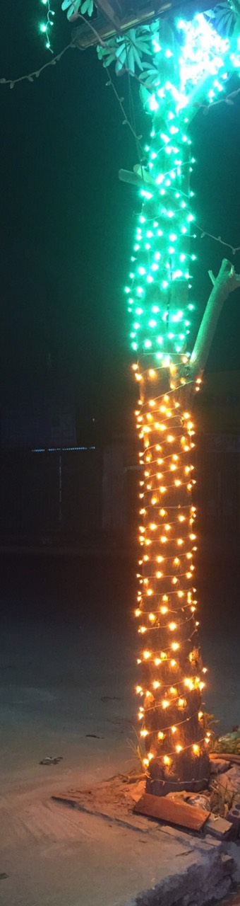 Đèn led quấn cây ngoài trời nhiều màu đẹp chất lượng