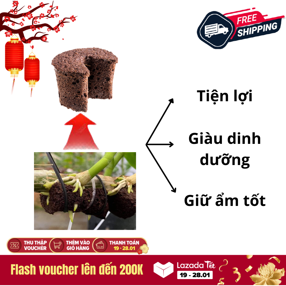 Viên mút ươm kie hữu cơ dành cho hoa lan phi điệp Peatmoss Hà Lan chính hãng